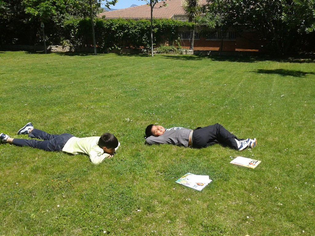 2012-05-23 13.05.55 Copiar