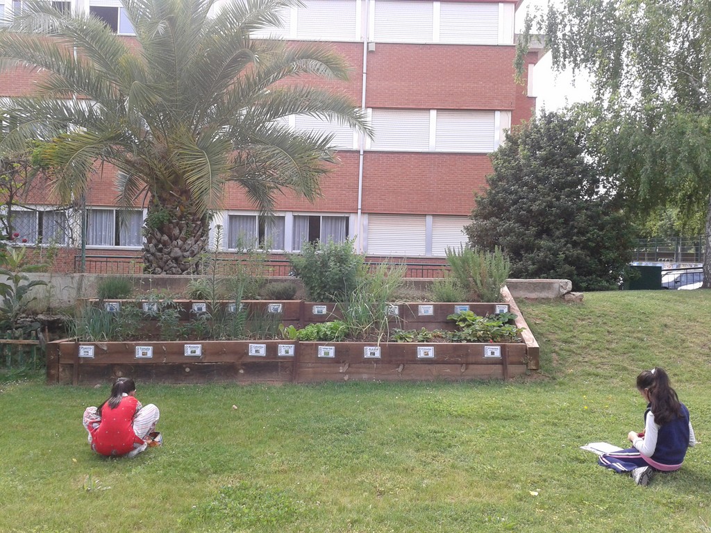 2012-06-06 10.30.39 Copiar