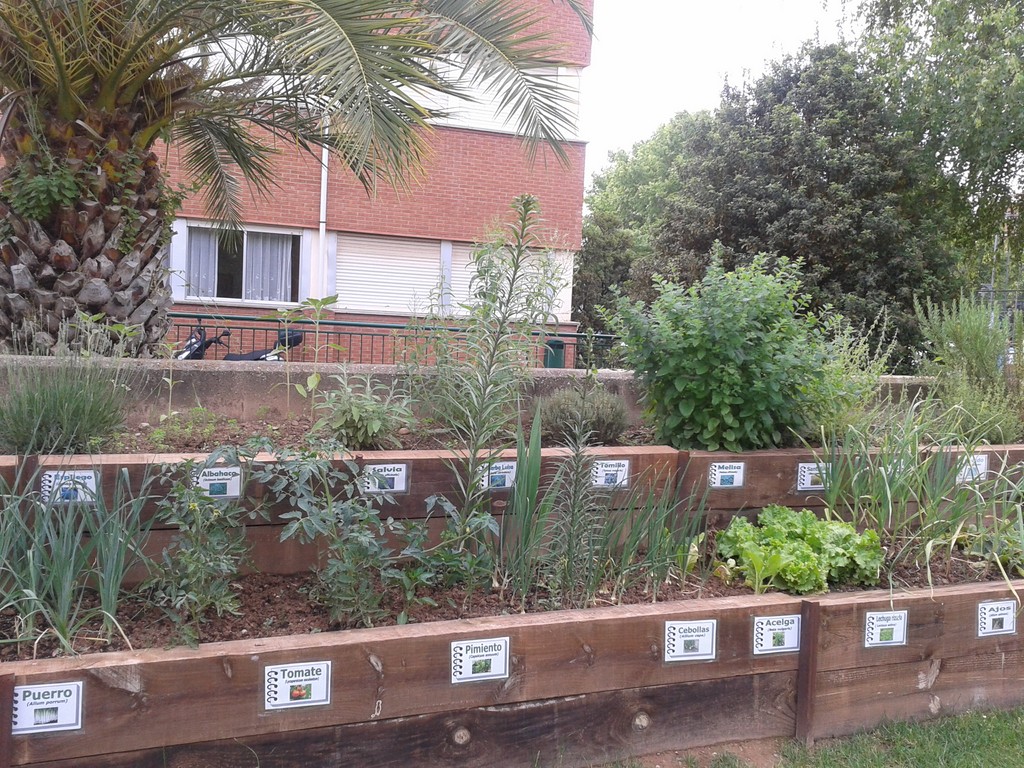 2012-06-06 10.31.00 Copiar