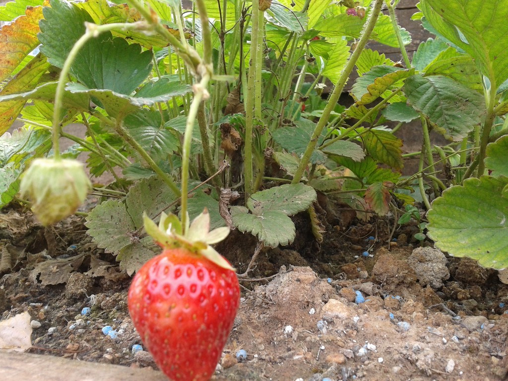 2012-06-06 10.31.28 Copiar